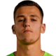 Radek Vitek