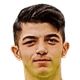 Şahin Dik
