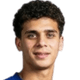 Hamza Abdelkarim