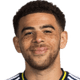 Che Adams