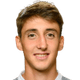 Andrea Cambiaso